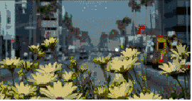giphy.gif