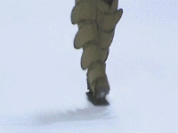 200w_d__11_.gif