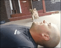 200w_d__8_.gif