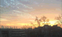 200w.gif