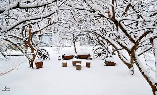 winter.jpg