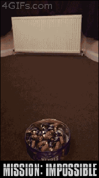 200w_d__16_.gif