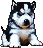 image.gif