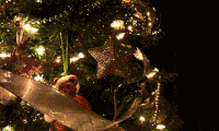 200w_d__6_.gif
