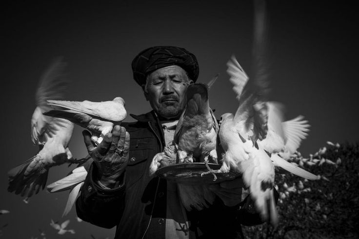Man_and_doves_Photo_by_Bahareh_Mohamadian.jpg
