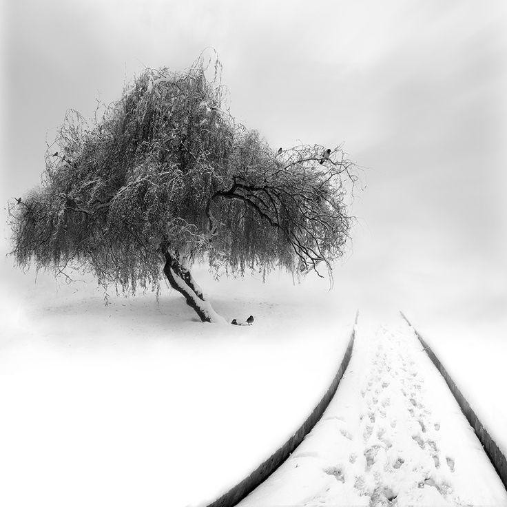 Untitled___by_Sherry_Akrami__Iranian.jpg