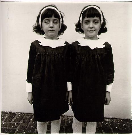Diane_Arbus._Identical_twins__Roselle__New_Jersey__1967..jpg