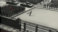 200w_d__5_.gif