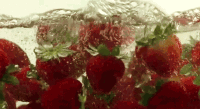 200w_d__21_.gif