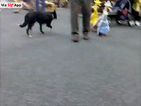 200w_d__18_.gif