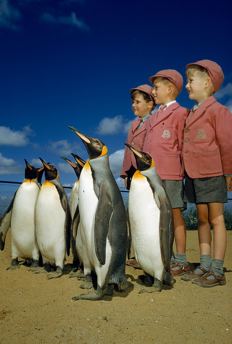 unpublished_national_geographic_3.jpg