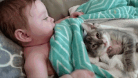 200w.gif