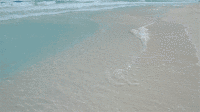 200w__4_.gif