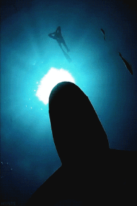 200w__24_.gif