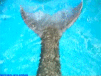 200w__18_.gif