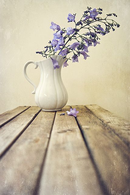 a0b52080919abb1f65fd87e55e6ade35.jpg