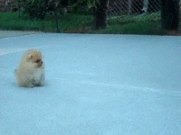200w__20_.gif
