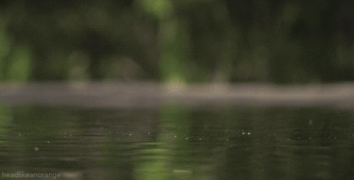 anigif_enhanced_buzz_11094_1397145798_14.gif