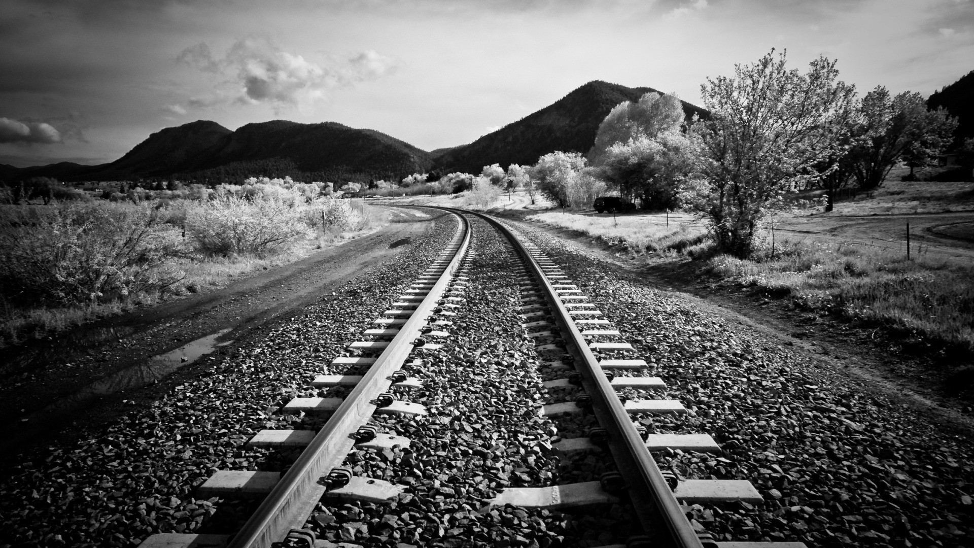 black_and_white_wallpaper_5.jpg