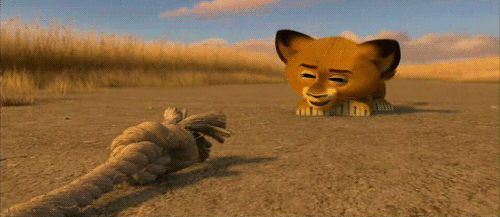 Tumblr_lz5p8rTfS01r85jovo1_500.gif