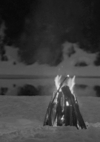200w__10_.gif