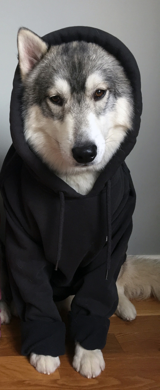 tumblr_nz6peiCRvQ1tiyj7vo1_1280.jpg