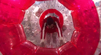 200w__10_.gif