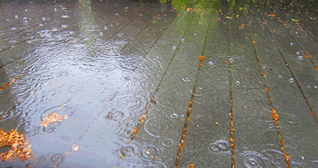 iubuv.gif