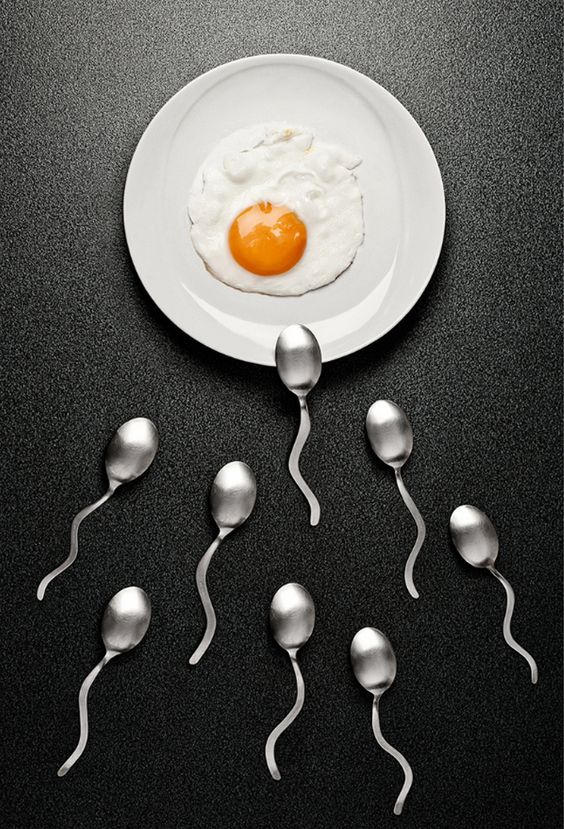 c4e6cf27b90527e705a74c7a770b4ce8.jpg