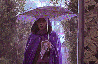 200w__28_.gif