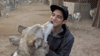 200w__31_.gif