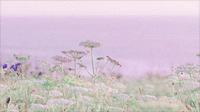 200w__13_.gif
