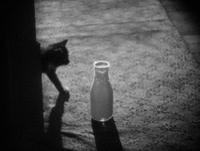 200w__30_.gif