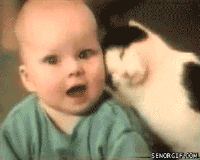 200w__14_.gif