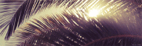 200w__35_.gif