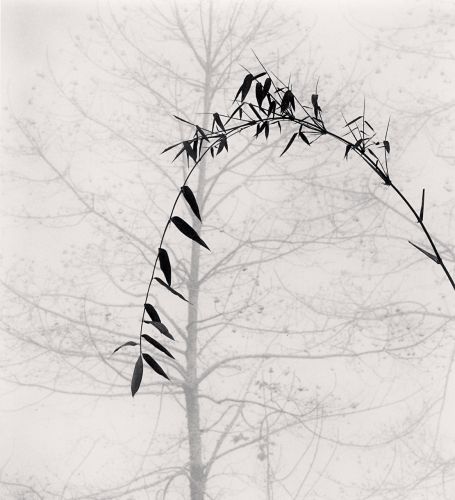 Michael_Kenna.jpg