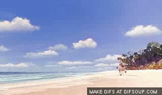 madagascar_beach_run_o.gif