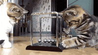 200w__38_.gif