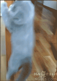 200w__6_.gif