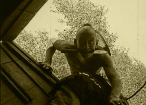 Last_of_the_Mohicans_11500_copy_503x362.jpg