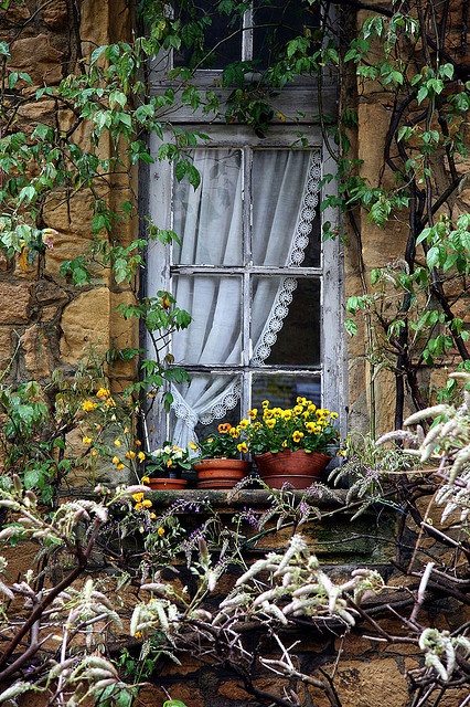 Sarlat__Dordogne__France.jpg