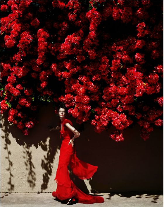 Mario_Testino__Queen_of_Hearts..jpg