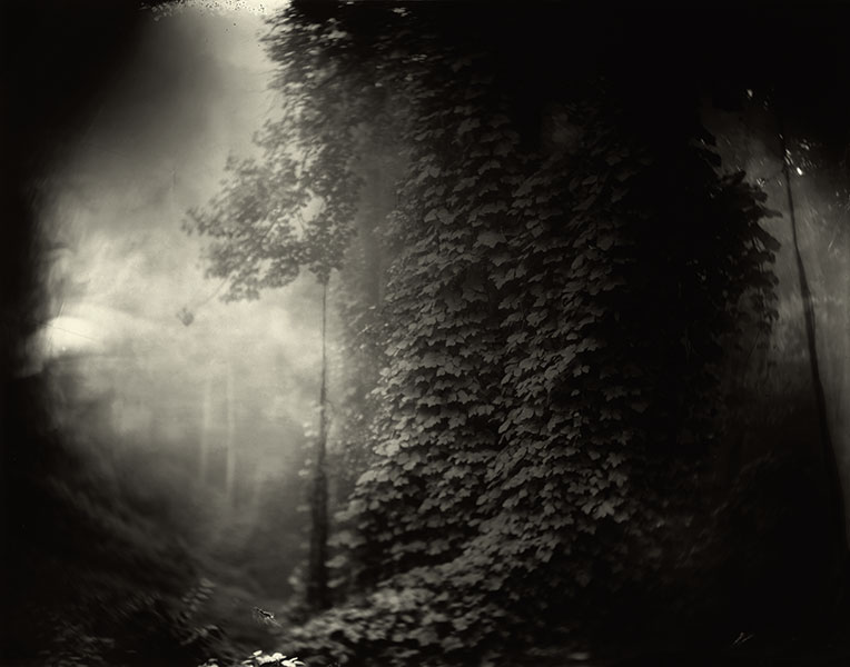 Sally_Mann_Georgia_03.jpg