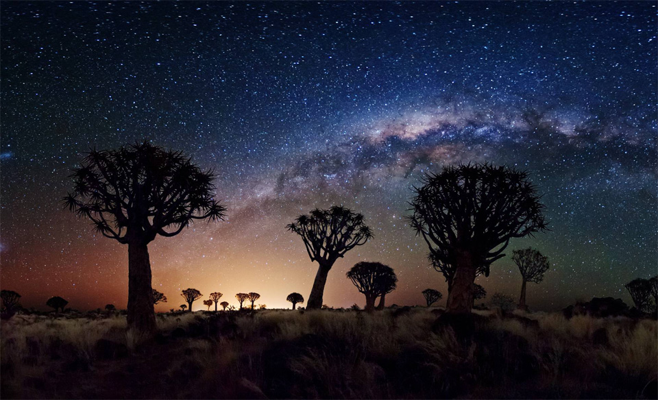 milky_way_over_quiver_tree_forest.jpg