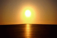 200w.gif