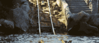 200w.gif