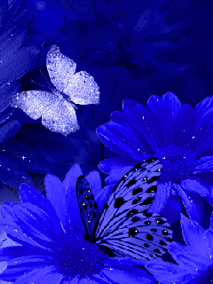 15___1.gif