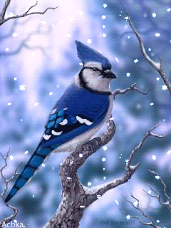 1283.gif
