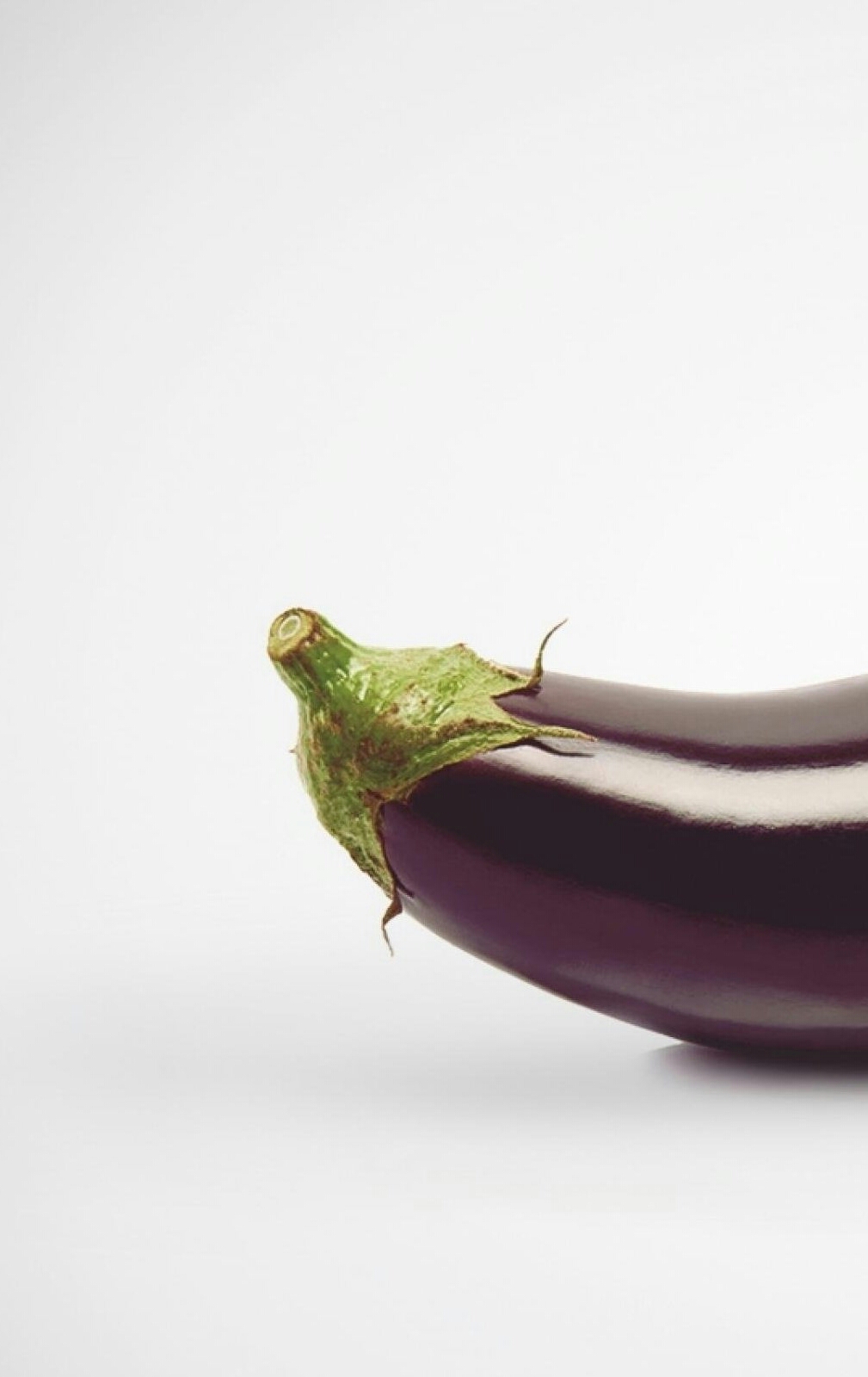 creative_brinjal_other_1.jpg