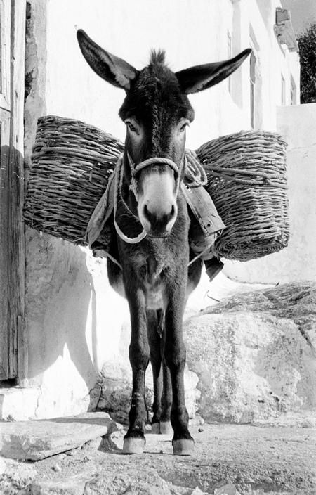 Rene_Burri_Greece__1957.jpg